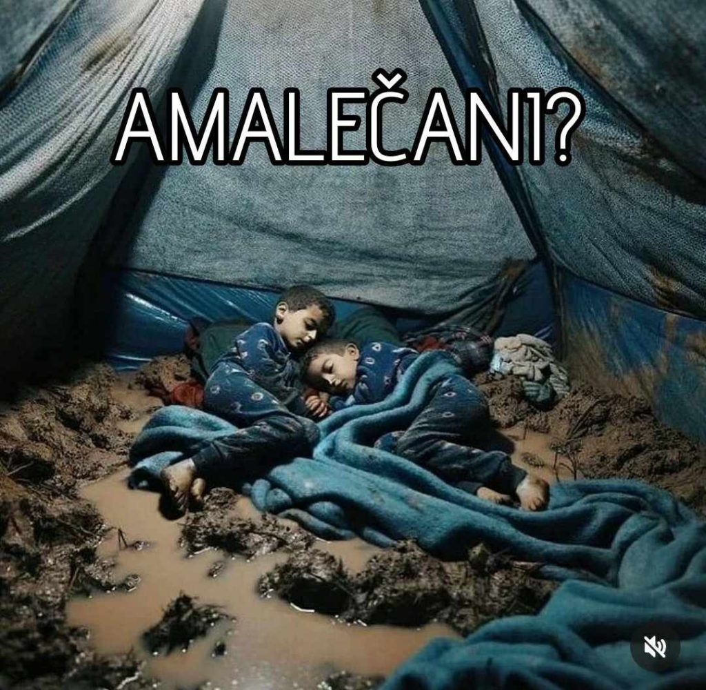 423737598 902829348296165 1455501983627900257 n